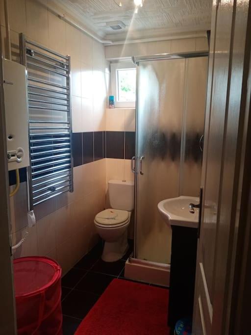 Appartamento D38 Pestelizabeth Apartman Budapest Esterno foto
