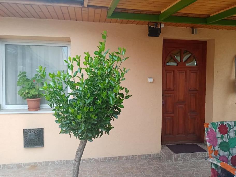 Appartamento D38 Pestelizabeth Apartman Budapest Esterno foto